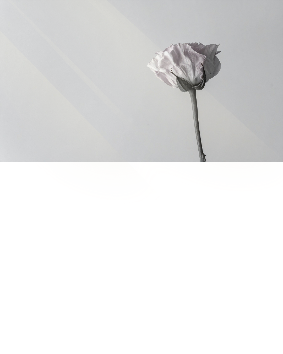 thoughts image